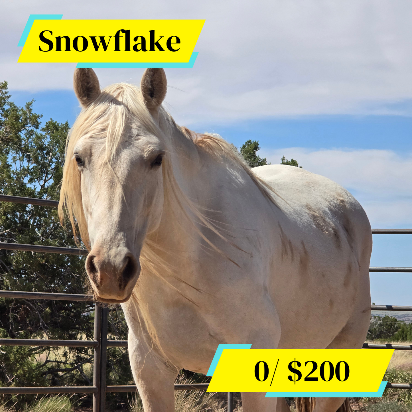 Sponsor Snowflake