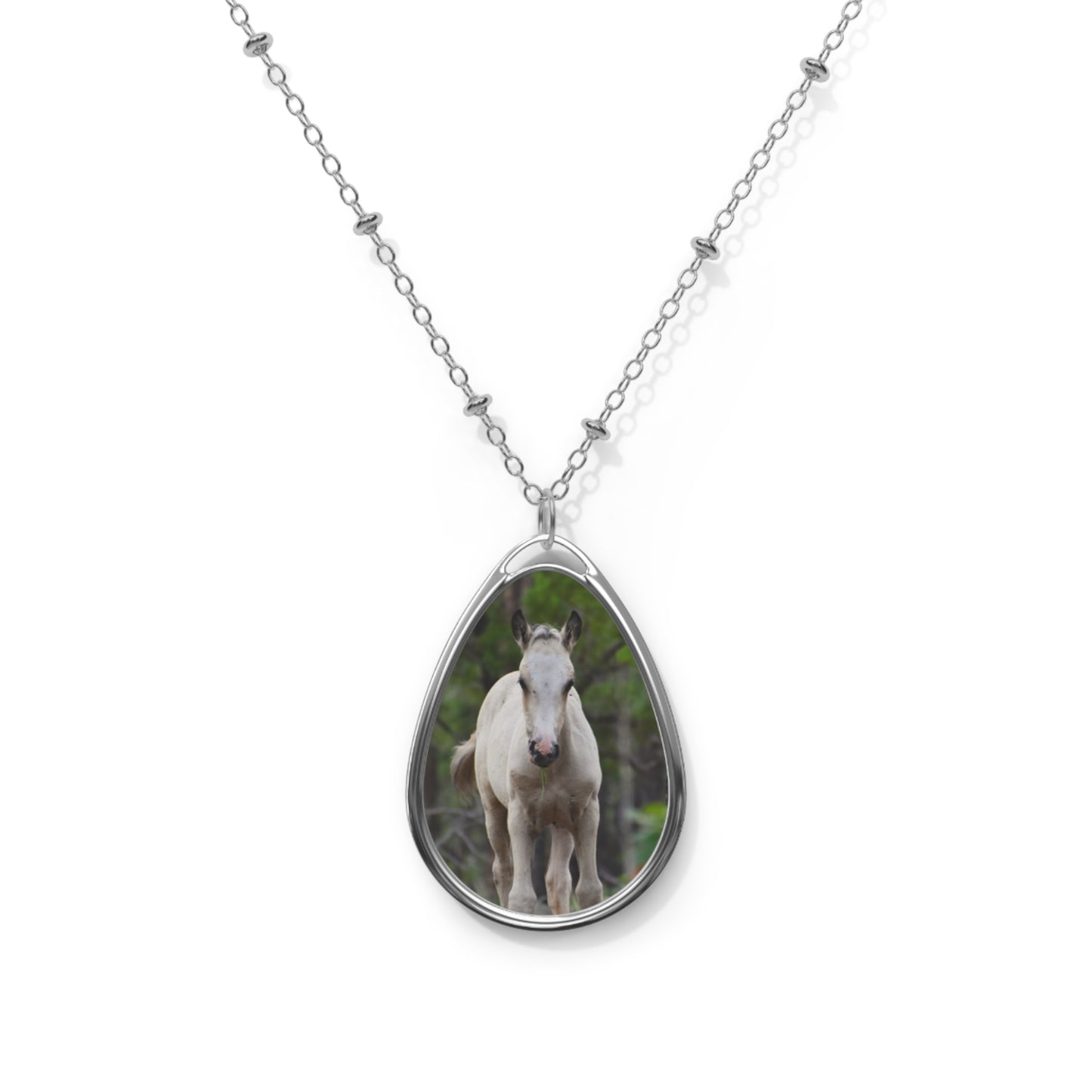 Wild Heber Foal Oval Necklace