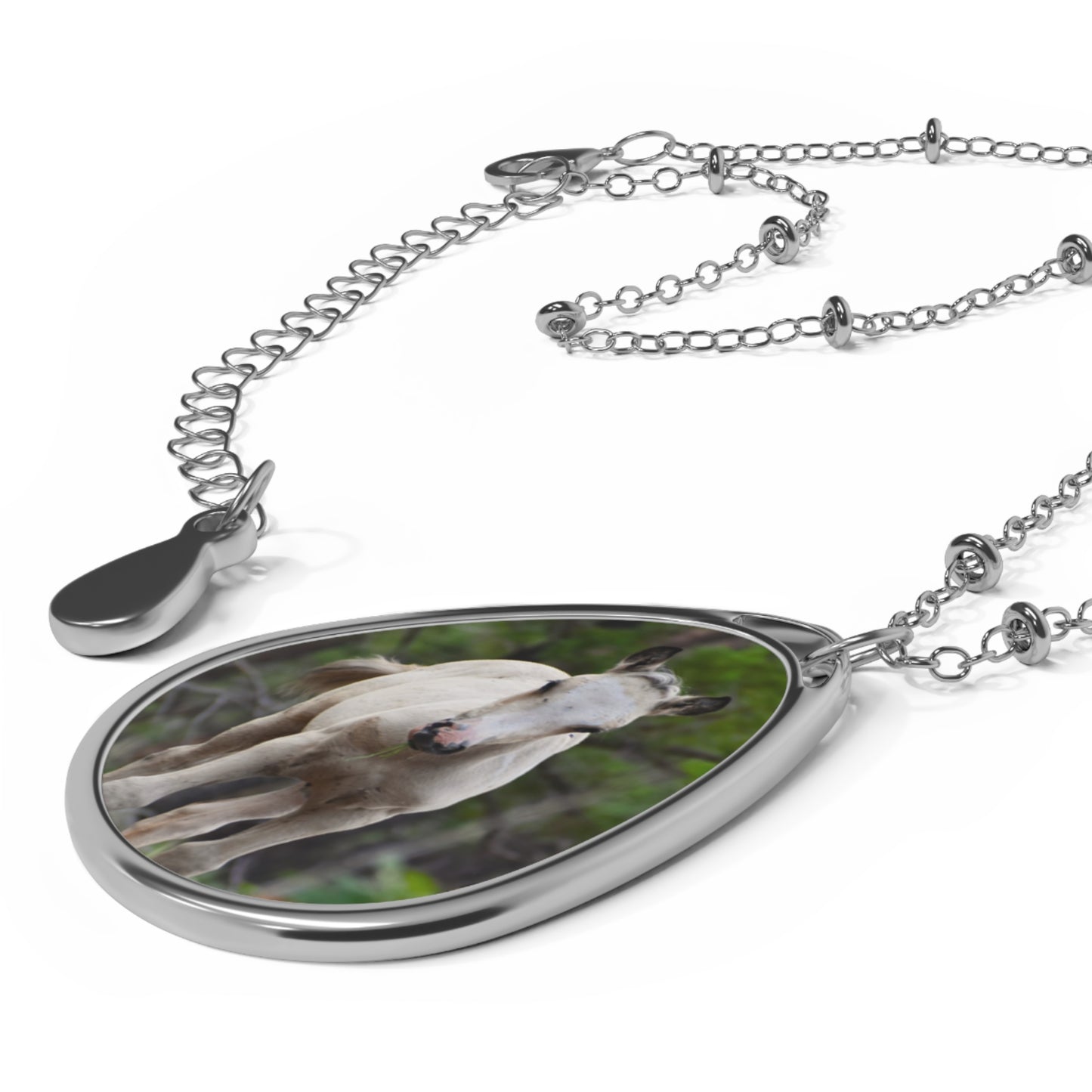 Wild Heber Foal Oval Necklace