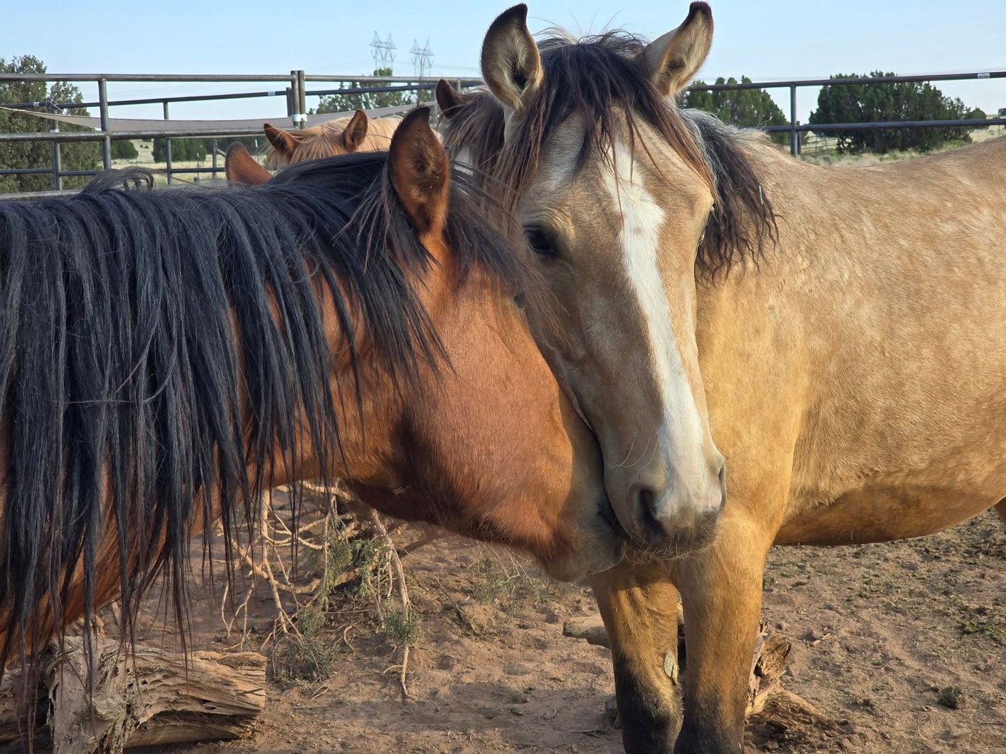 Donation Product Image