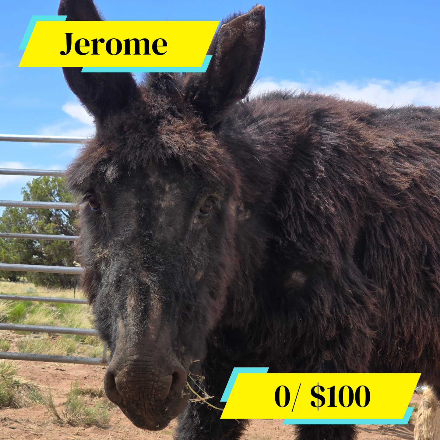 Sponsor Jerome