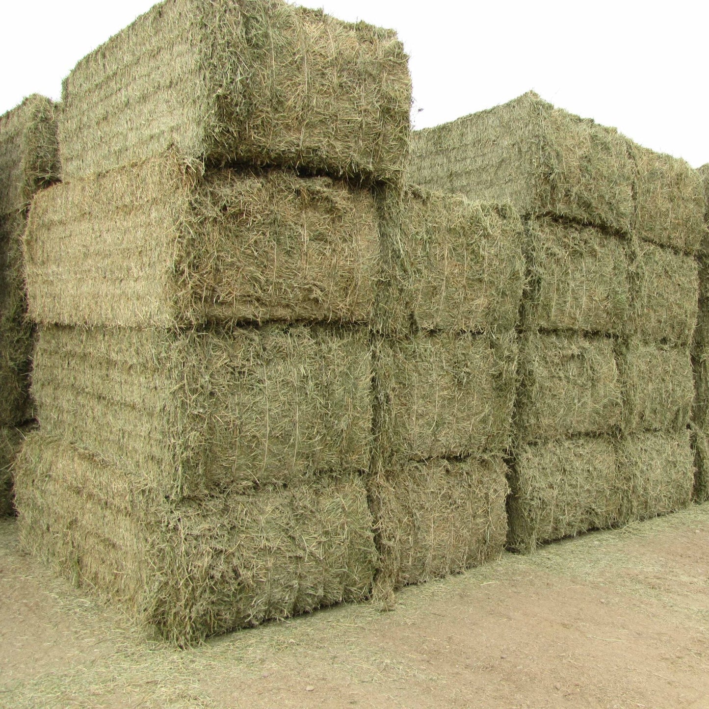 Sponsor A Large Bale Of Hay