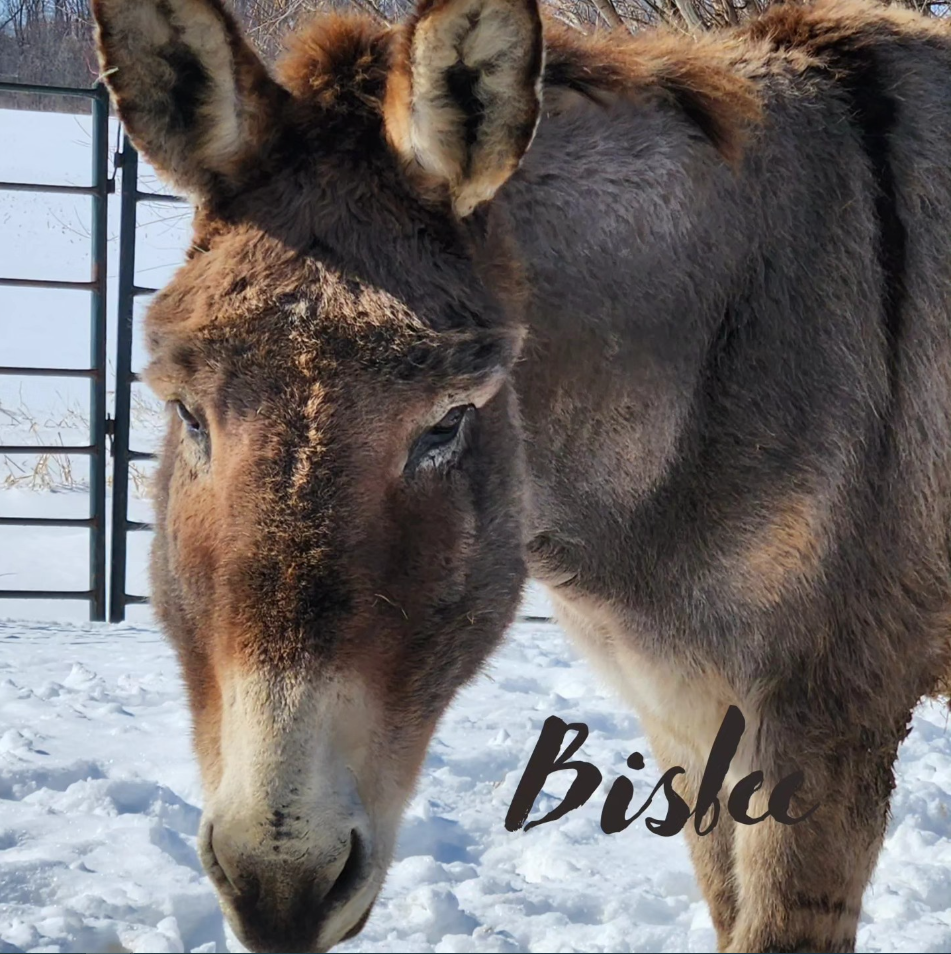 Sponsor Bisbee