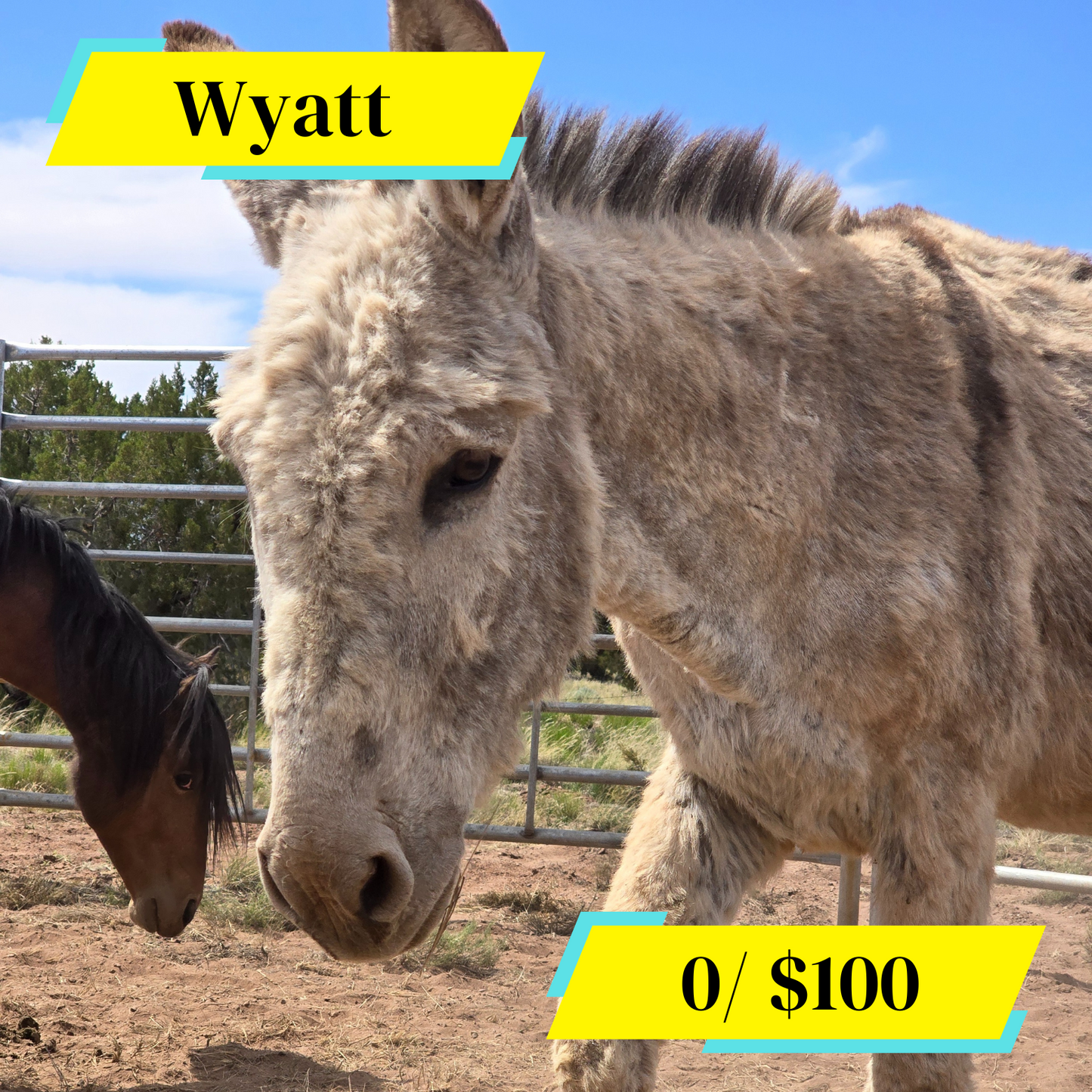 Sponsor Wyatt