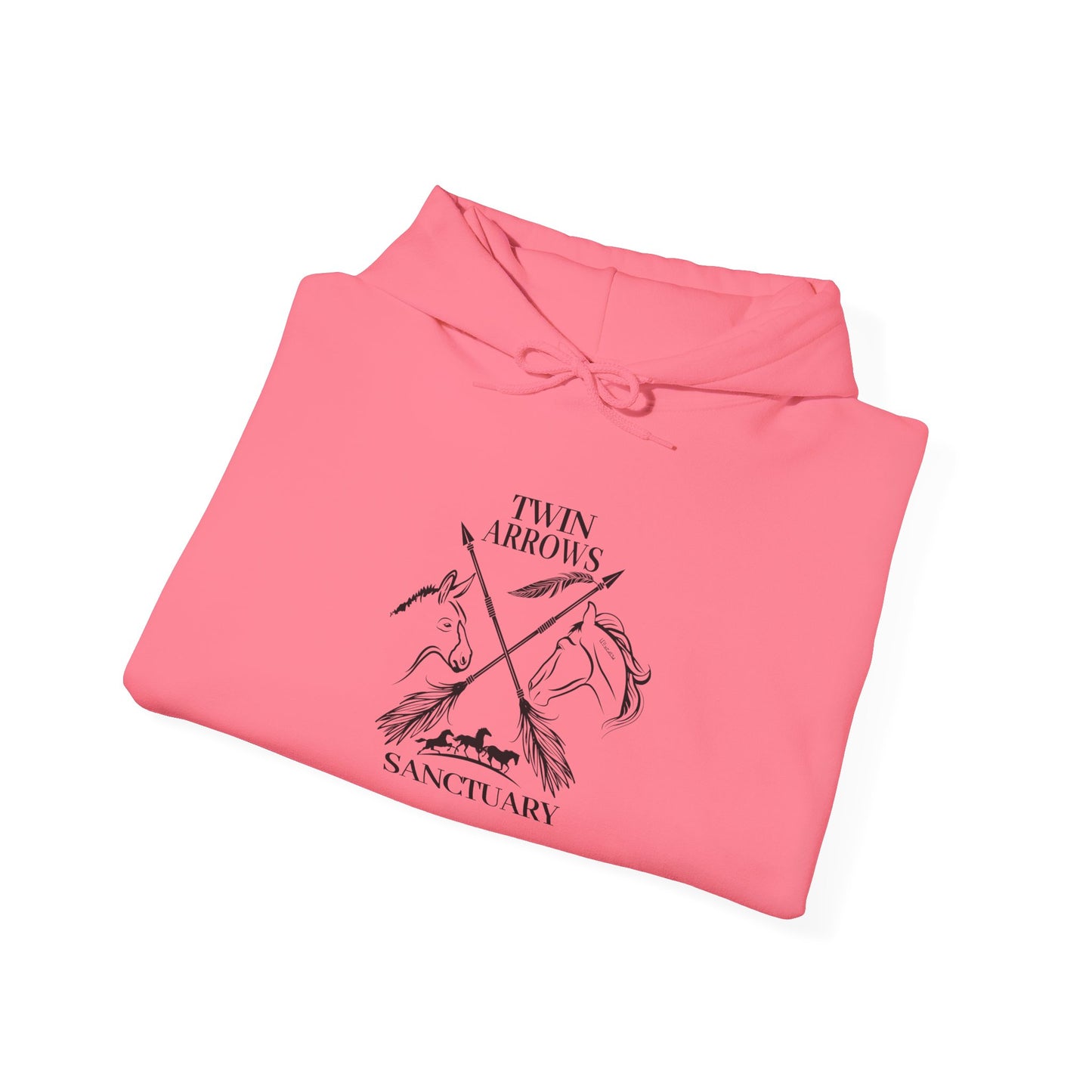 Twin Arrows Sanctuary Hooded Sweatshirt