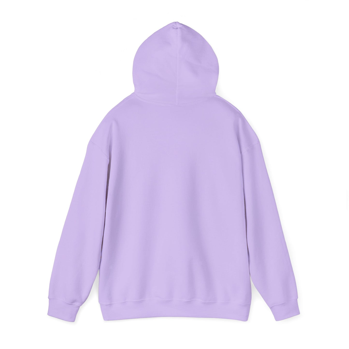 Twin Arrows Sanctuary Hooded Sweatshirt