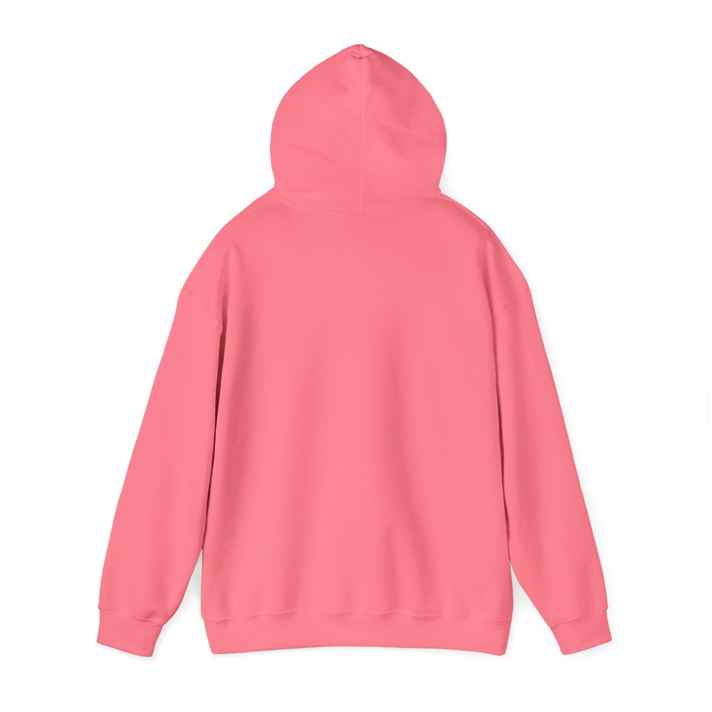 Twin Arrows Sanctuary Hooded Sweatshirt