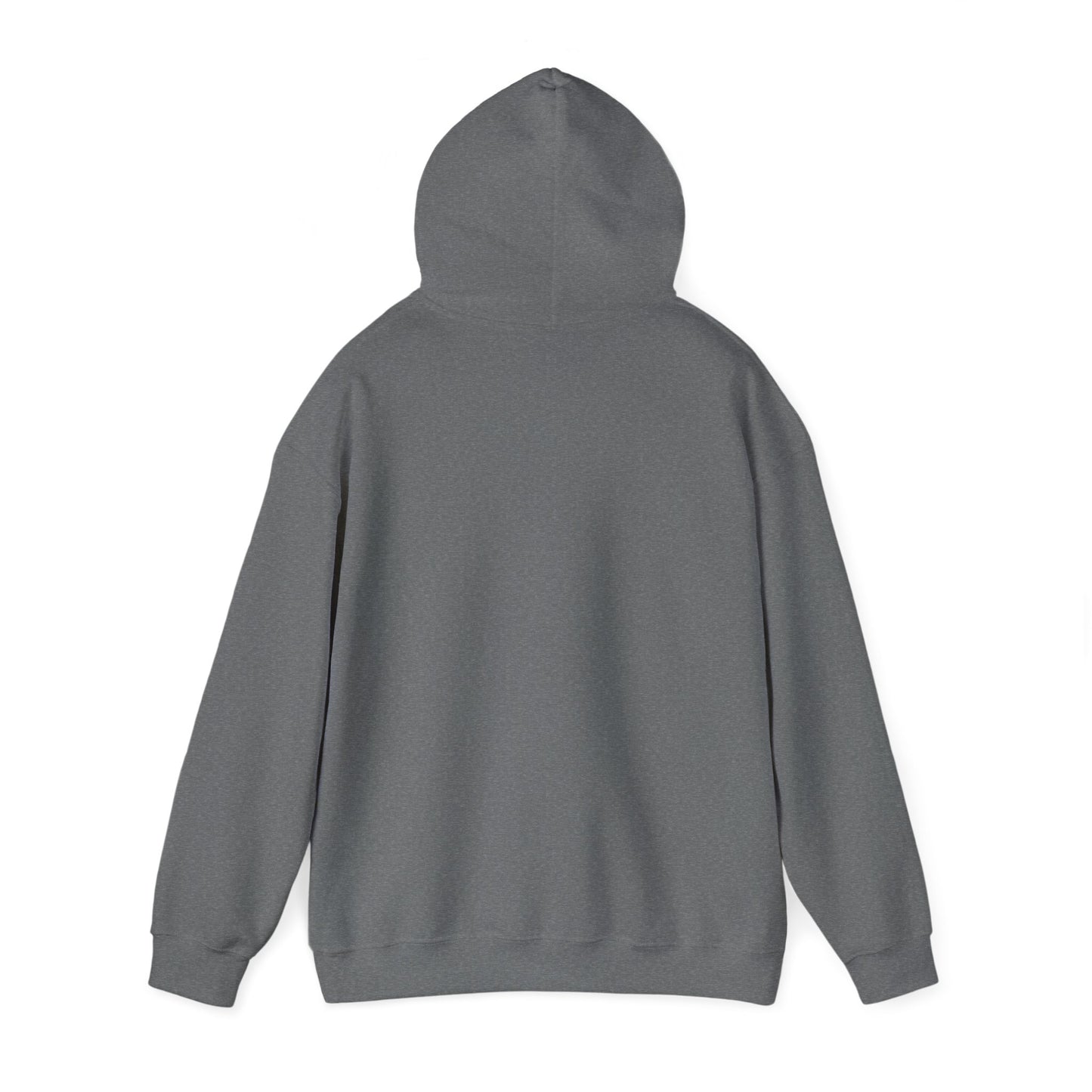 Twin Arrows Sanctuary Hooded Sweatshirt