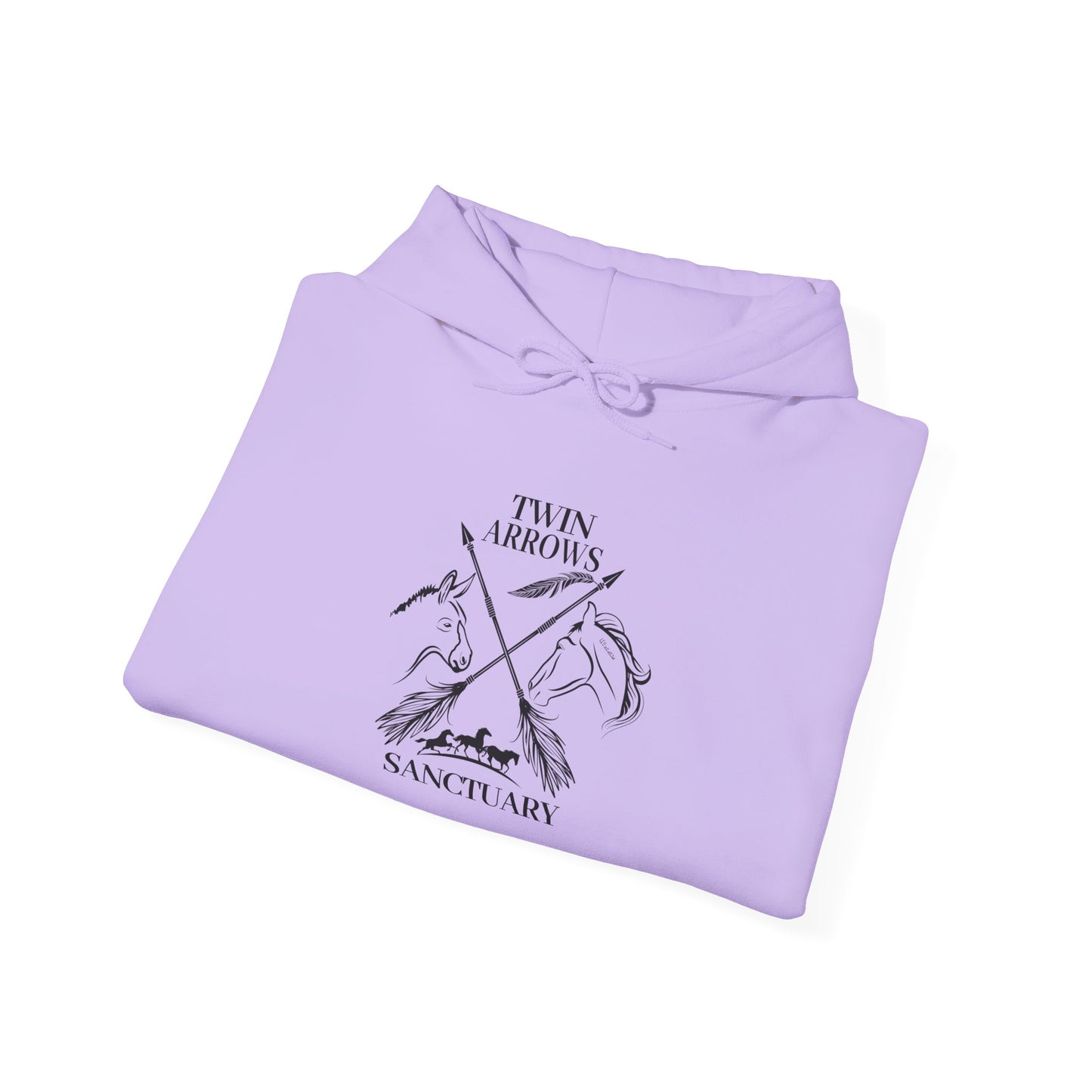 Twin Arrows Sanctuary Hooded Sweatshirt