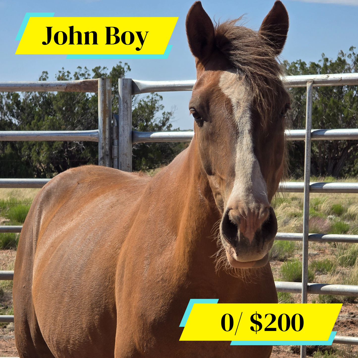Sponsor John Boy