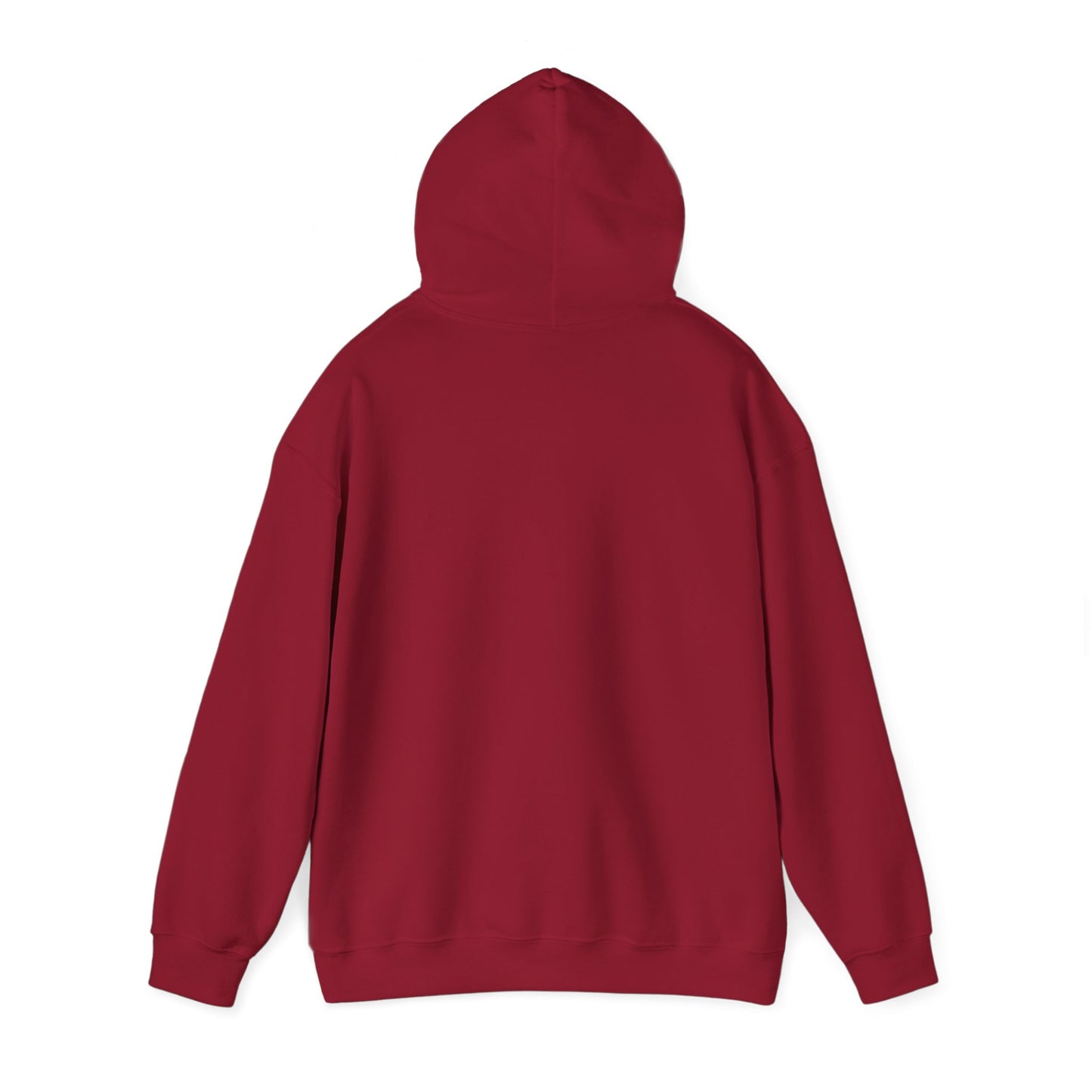 Twin Arrows Sanctuary Hooded Sweatshirt