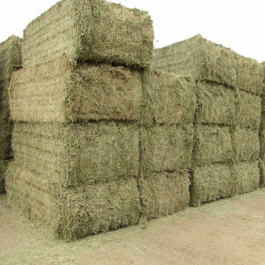 Sponsor A Large Bale Of Hay