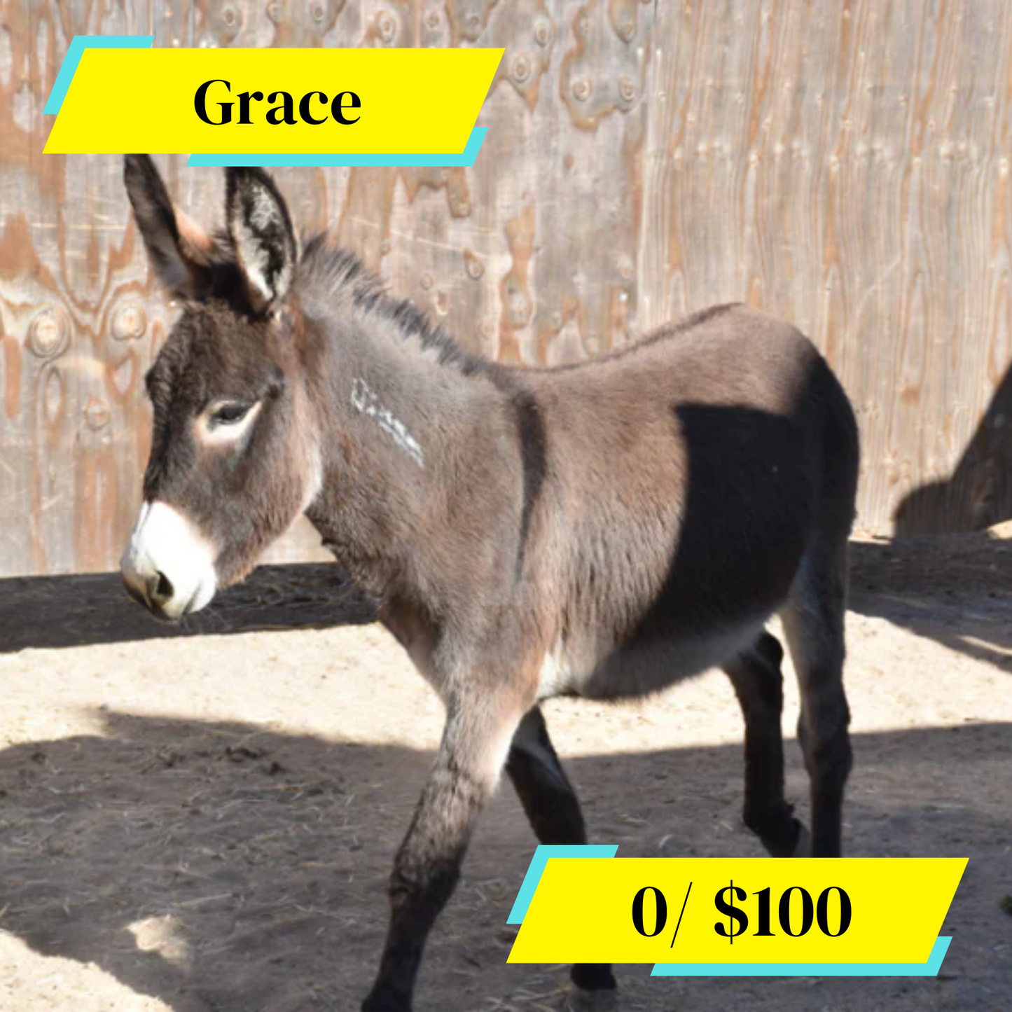 Sponsor Grace